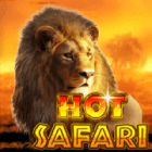 Hot Safari